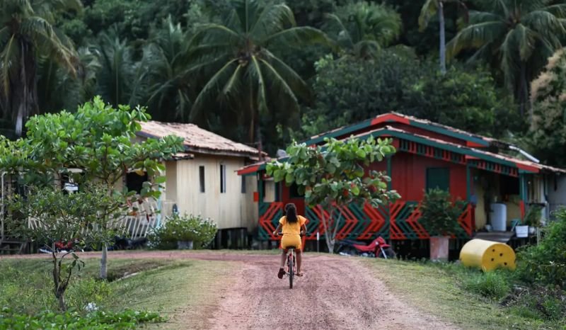 Amazônia Legal: Região Responsável por Quase 50% dos Conflitos de Terra no Brasil, Revela Novo Estudo