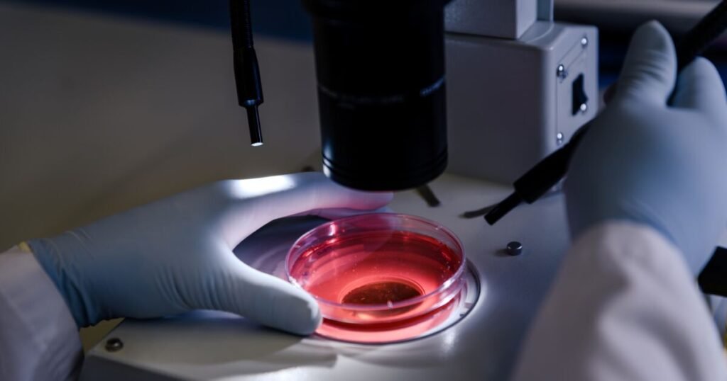 Aumento Alarmante: Casos de Leucemia no Brasil Crescem 150% em Uma Década