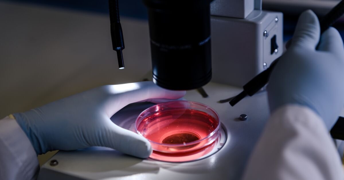 Aumento Alarmante: Casos de Leucemia no Brasil Crescem 150% em Uma Década