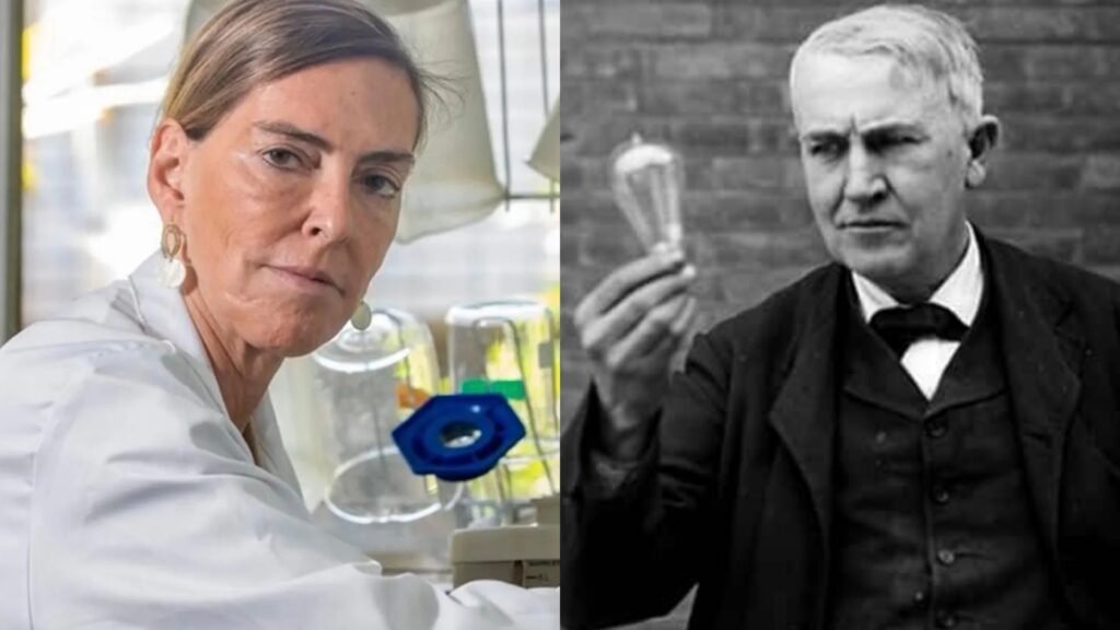 Brasil em Foco: Reflexões Cruciais sobre a Identidade Nacional e Seus Desafios Contemporâneos