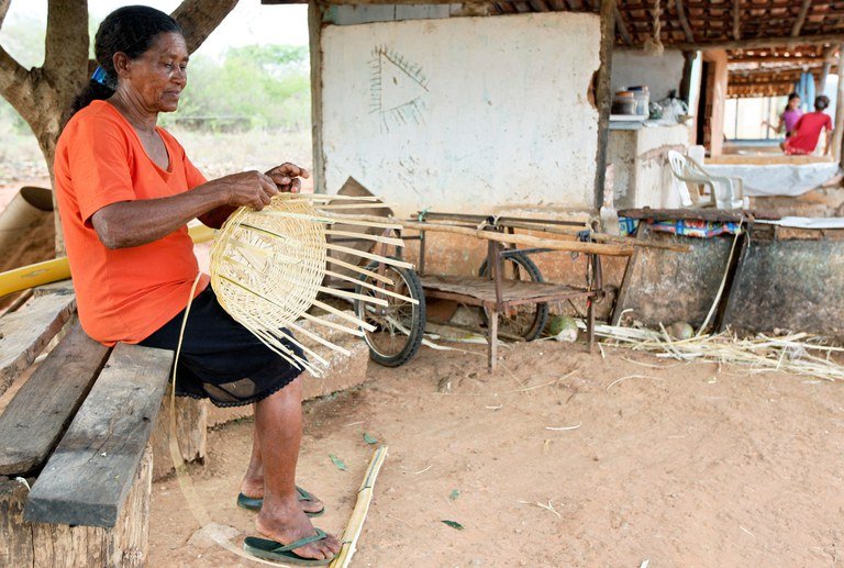 Comitê Lança Chamada para Inscrições: Iniciativa Focada no Combate ao Racismo Ambiental e Climático