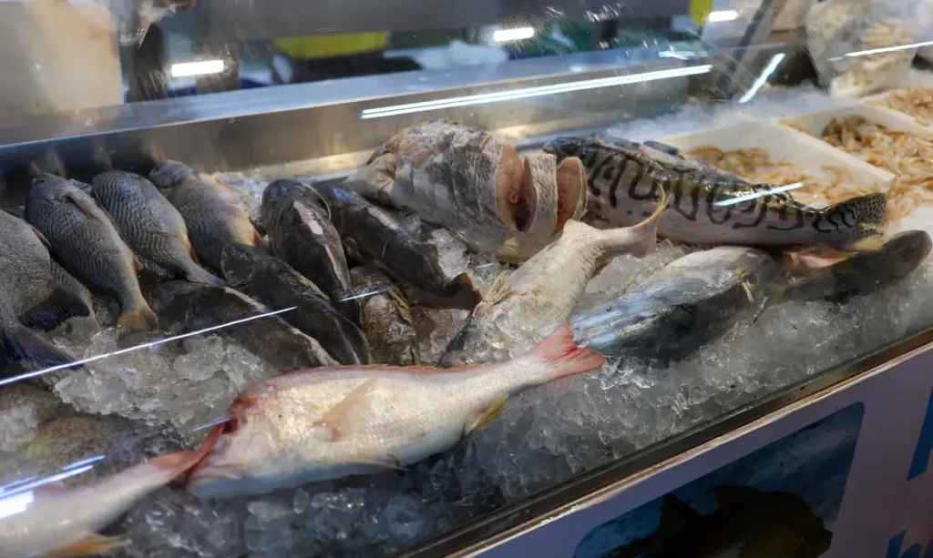 Descubra os Alimentos Essenciais que Potencializam a 'Vitamina do Ouro' para a Saúde Cerebral