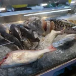 Descubra os Alimentos Essenciais que Potencializam a ‘Vitamina do Ouro’ para a Saúde Cerebral Descubra os Alimentos Essenciais que Potencializam a ‘Vitamina do Ouro’ para a Saúde Cerebral