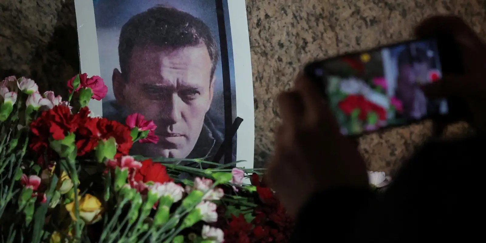 Investigação Revela: Veneno de Sapo como Causa da Morte de Navalny, Afirmam Especialistas Europeus