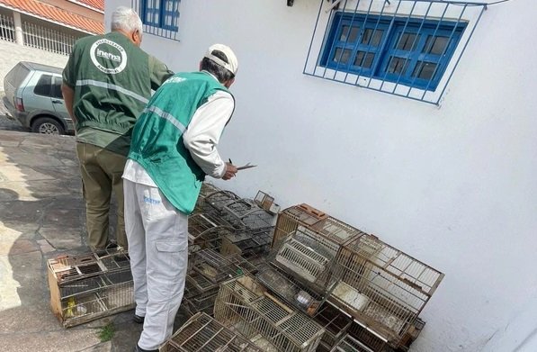 Polícia Ambiental Prende Suspeito e Apreende 18 Aves Silvestres em Operação na RMS