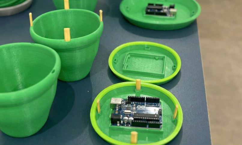 Startup Inova com Armadilha Biológica Revolucionária para Combate ao Mosquito da Dengue