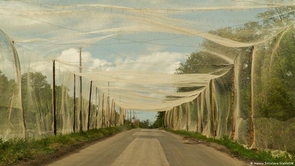 Transformações no Front: Quatro Anos de Conflito na Ucrânia e Seus Impactos Geopolíticos