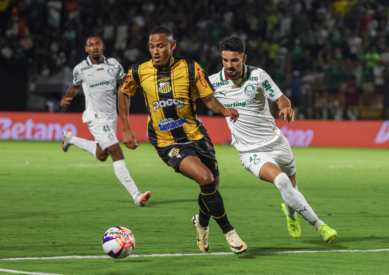 License is not valid, please check your API Key!