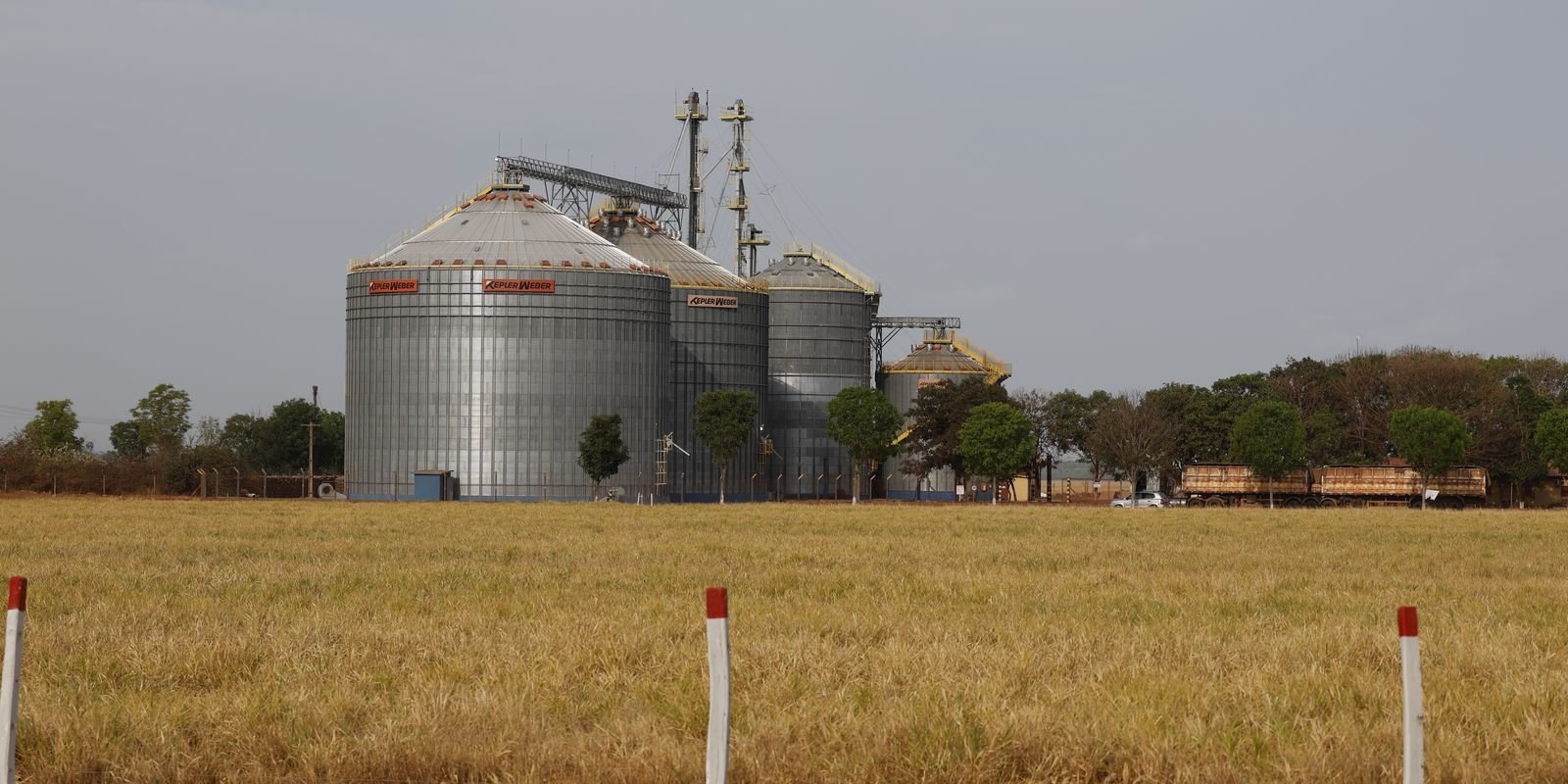 License is not valid, please check your API Key!