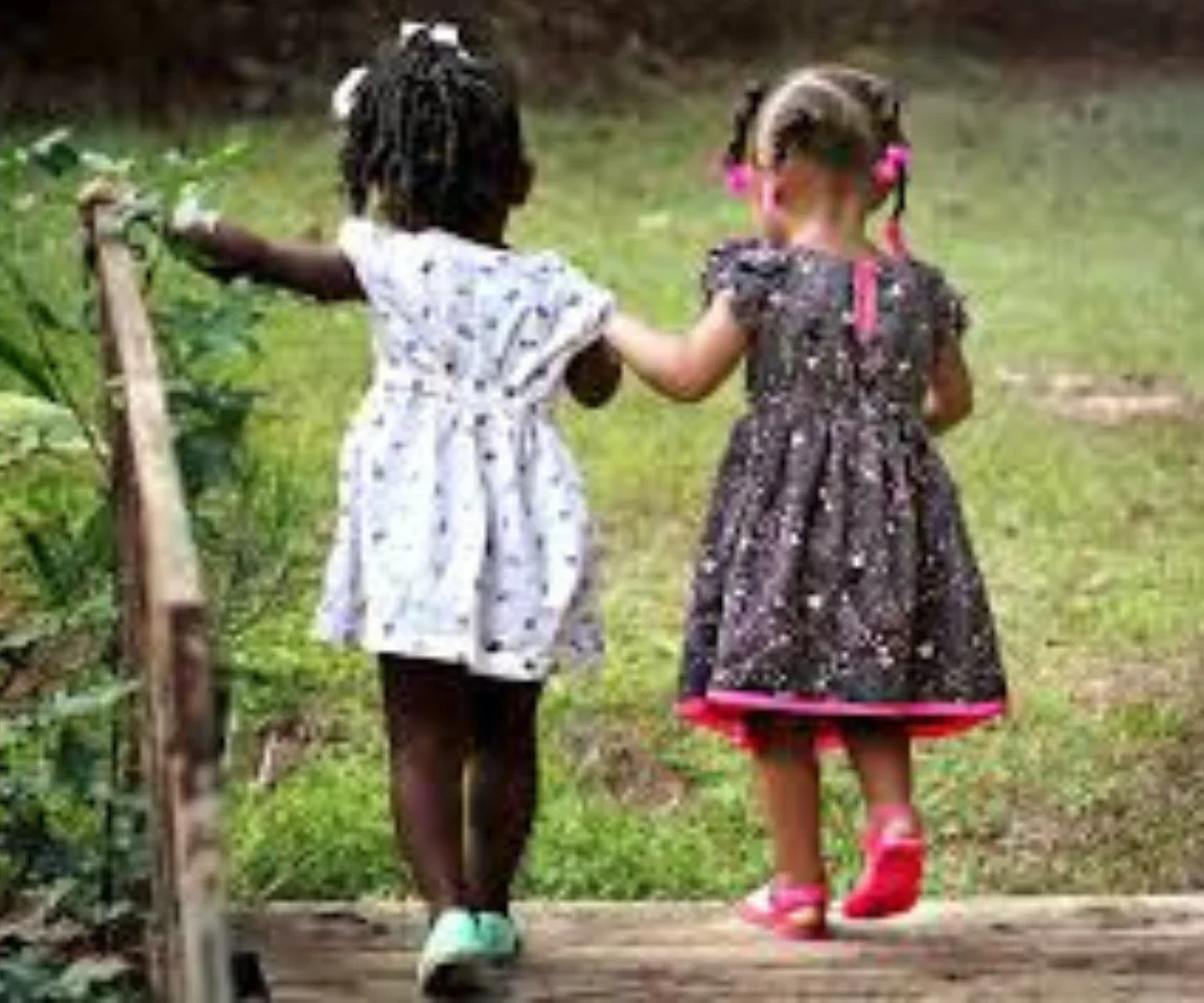 License is not valid, please check your API Key!