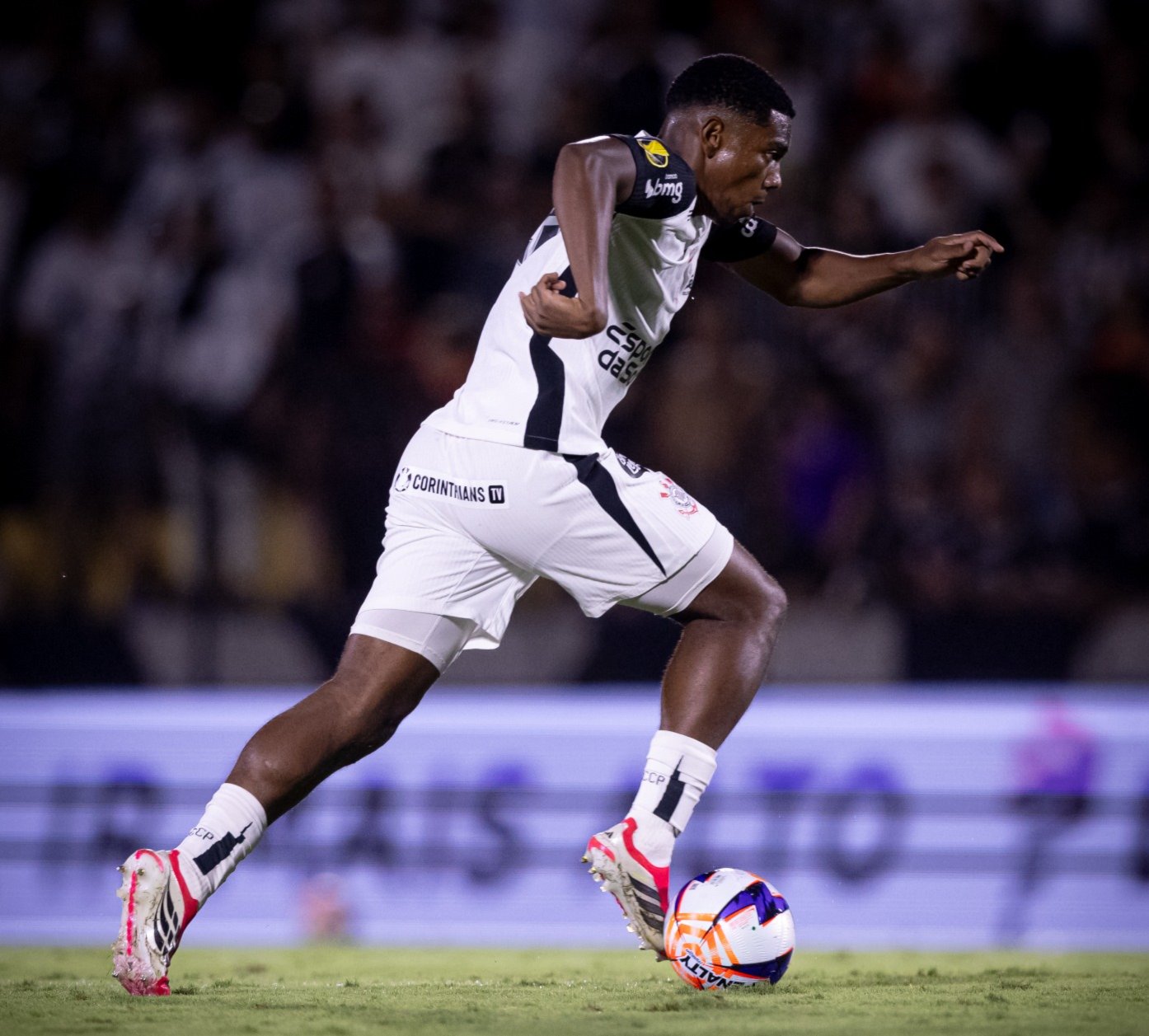 License is not valid, please check your API Key!