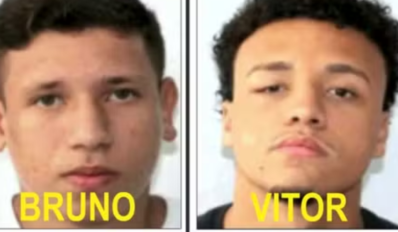 License is not valid, please check your API Key!