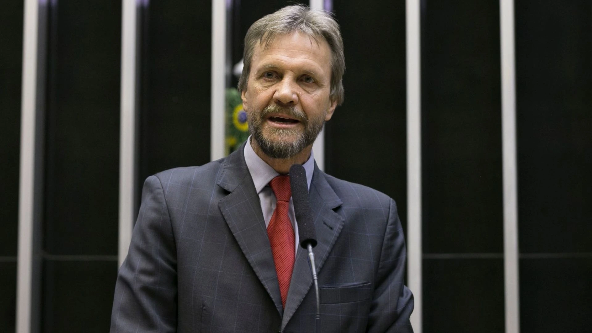 License is not valid, please check your API Key!