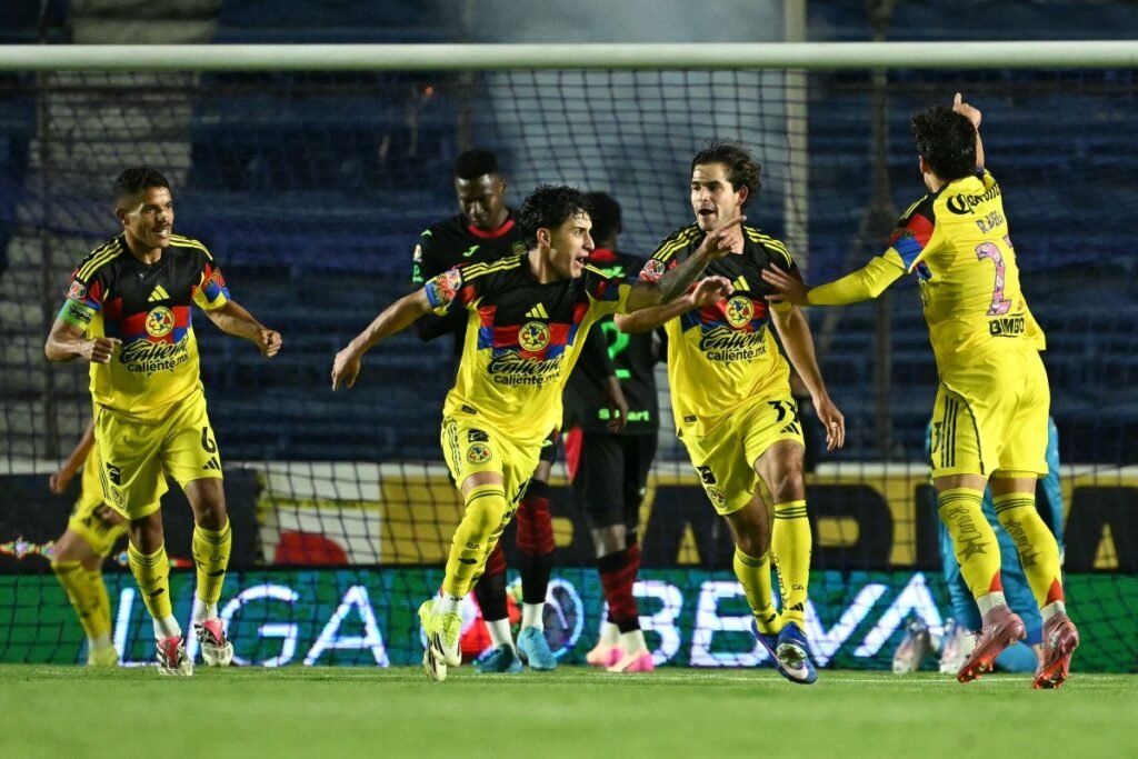 License is not valid, please check your API Key!