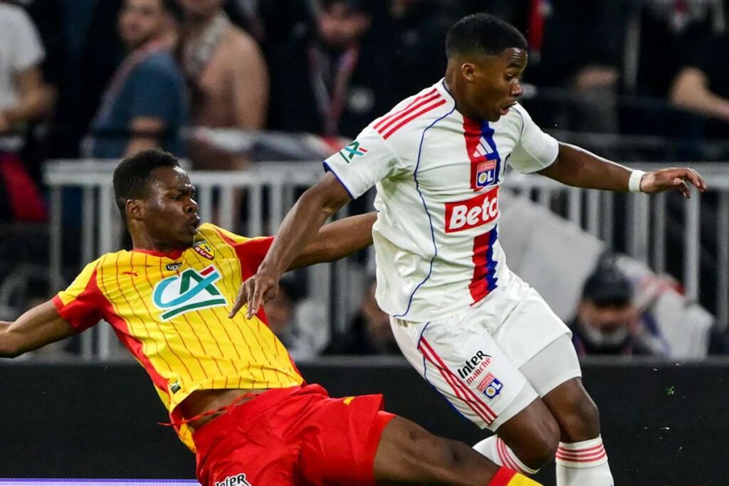 License is not valid, please check your API Key!