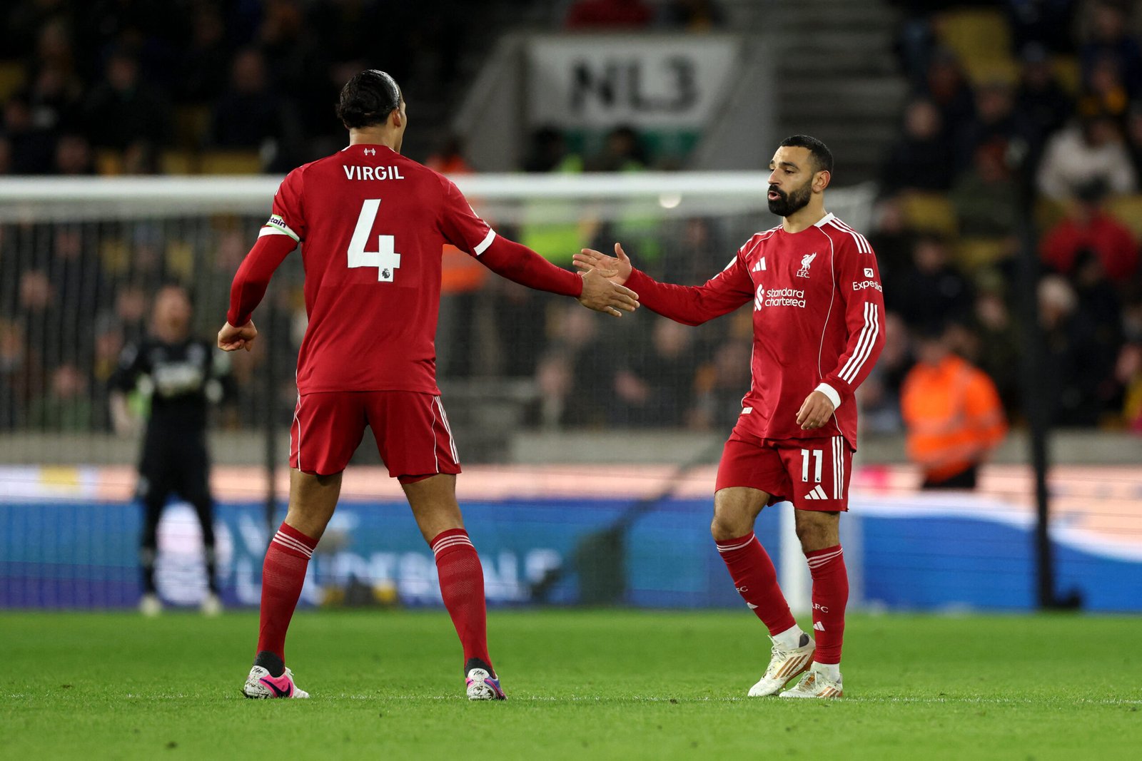 License is not valid, please check your API Key!