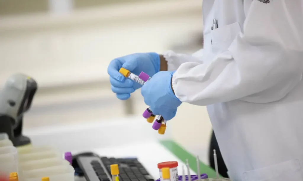 License is not valid, please check your API Key!