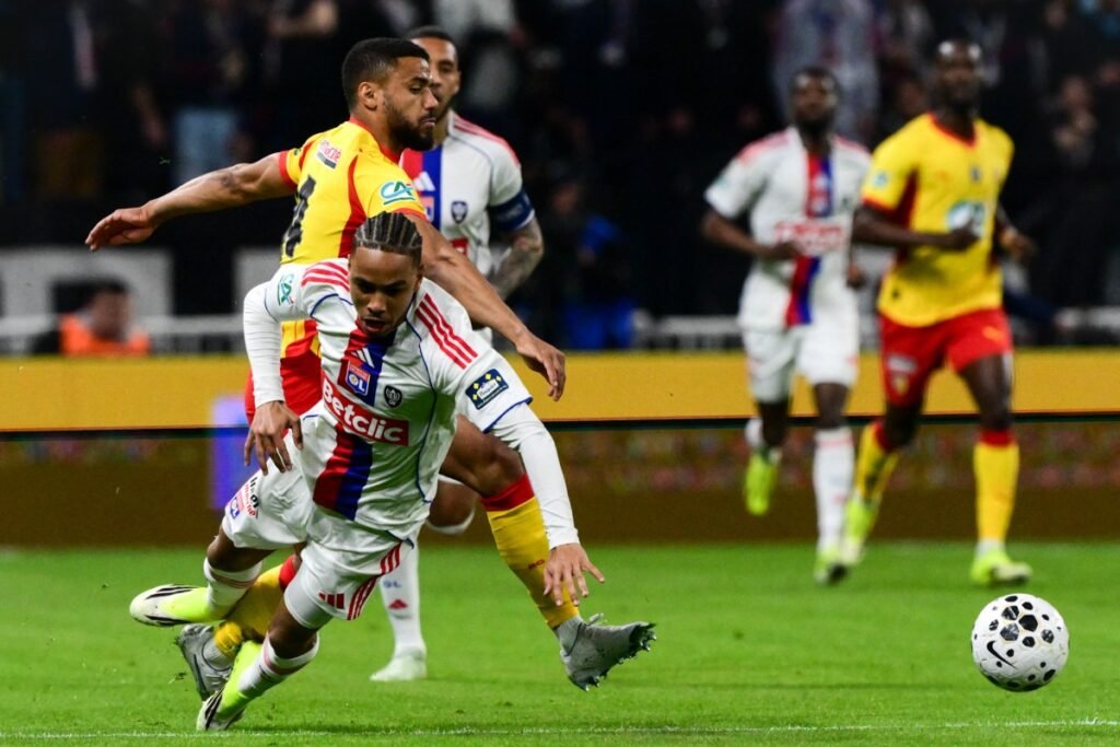 License is not valid, please check your API Key!