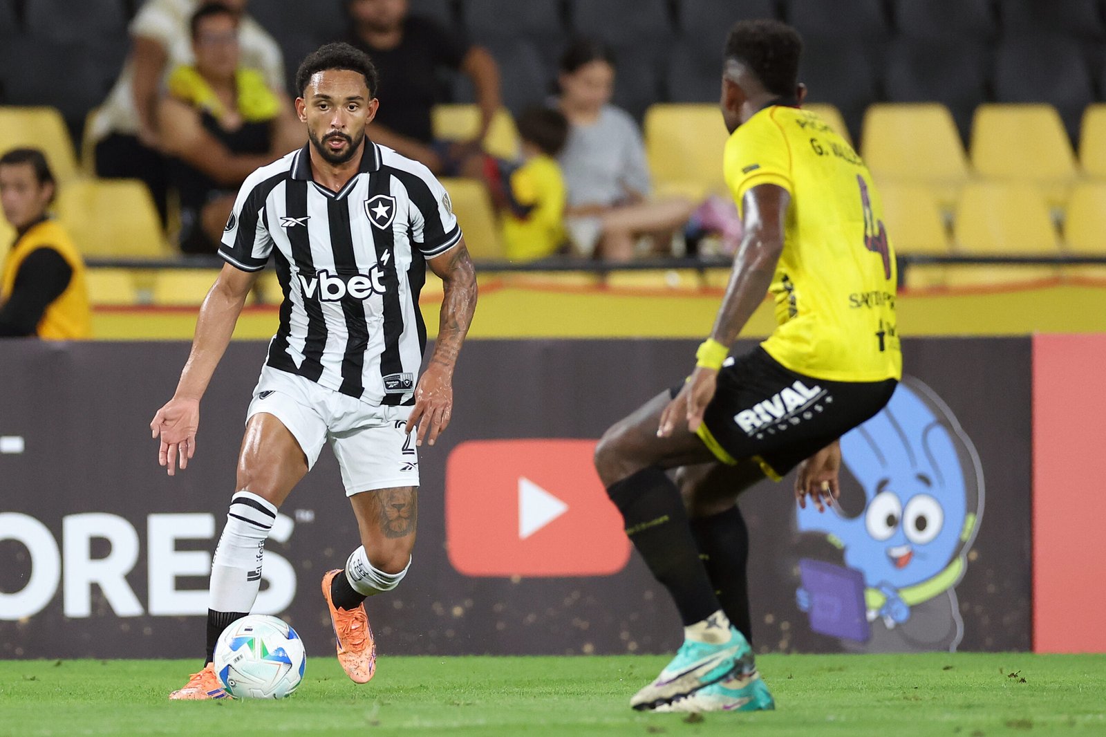 License is not valid, please check your API Key!