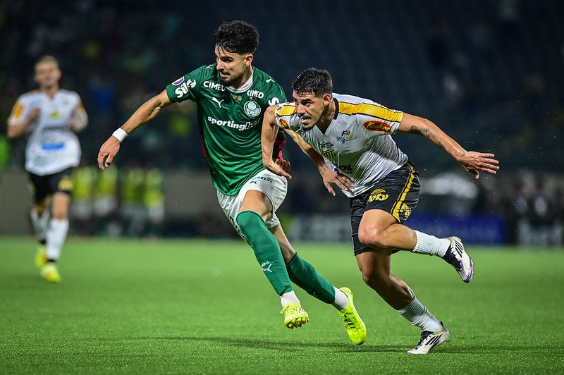 License is not valid, please check your API Key!