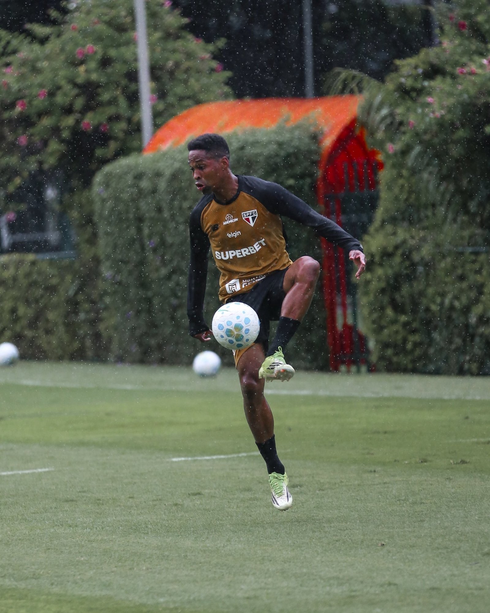 License is not valid, please check your API Key!