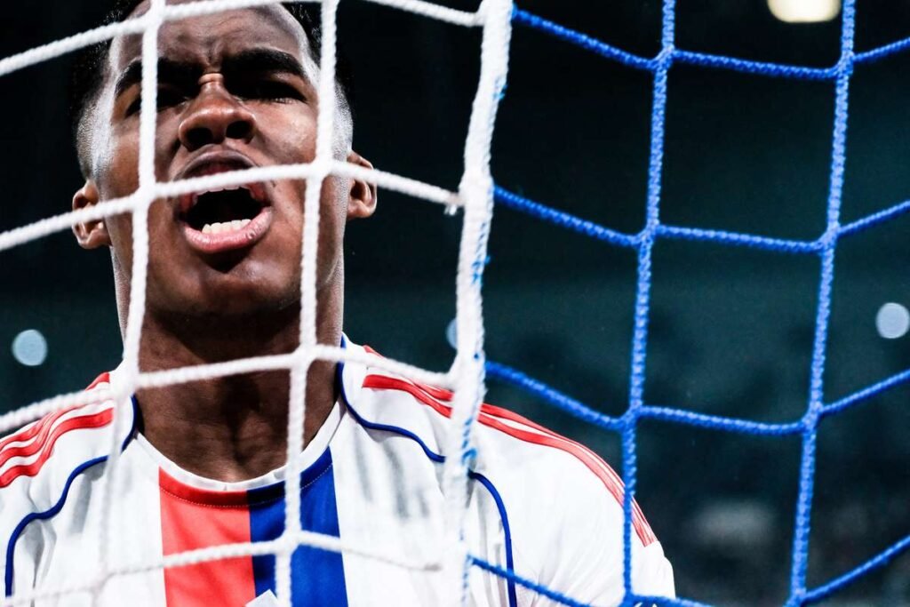 License is not valid, please check your API Key!