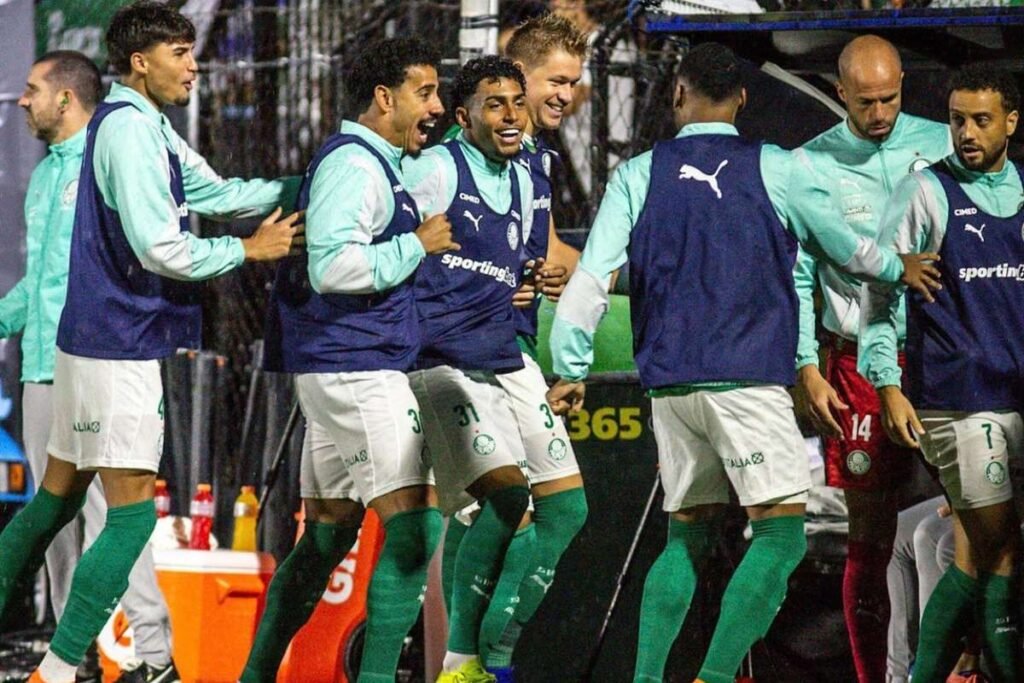 License is not valid, please check your API Key!