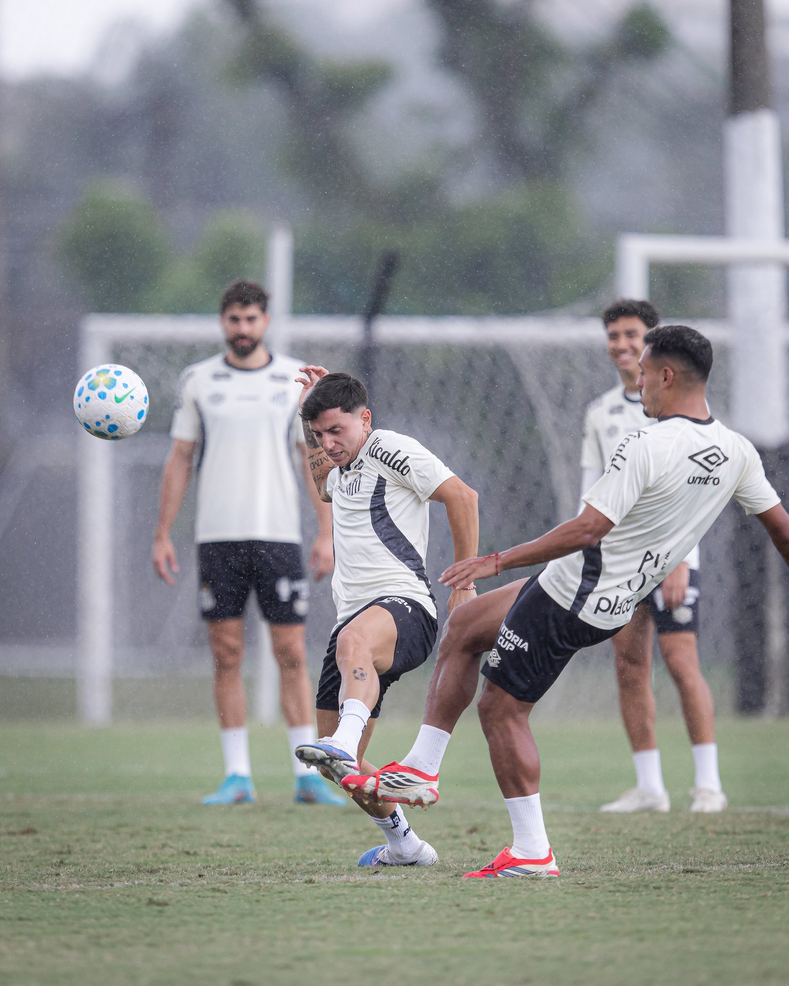 License is not valid, please check your API Key!