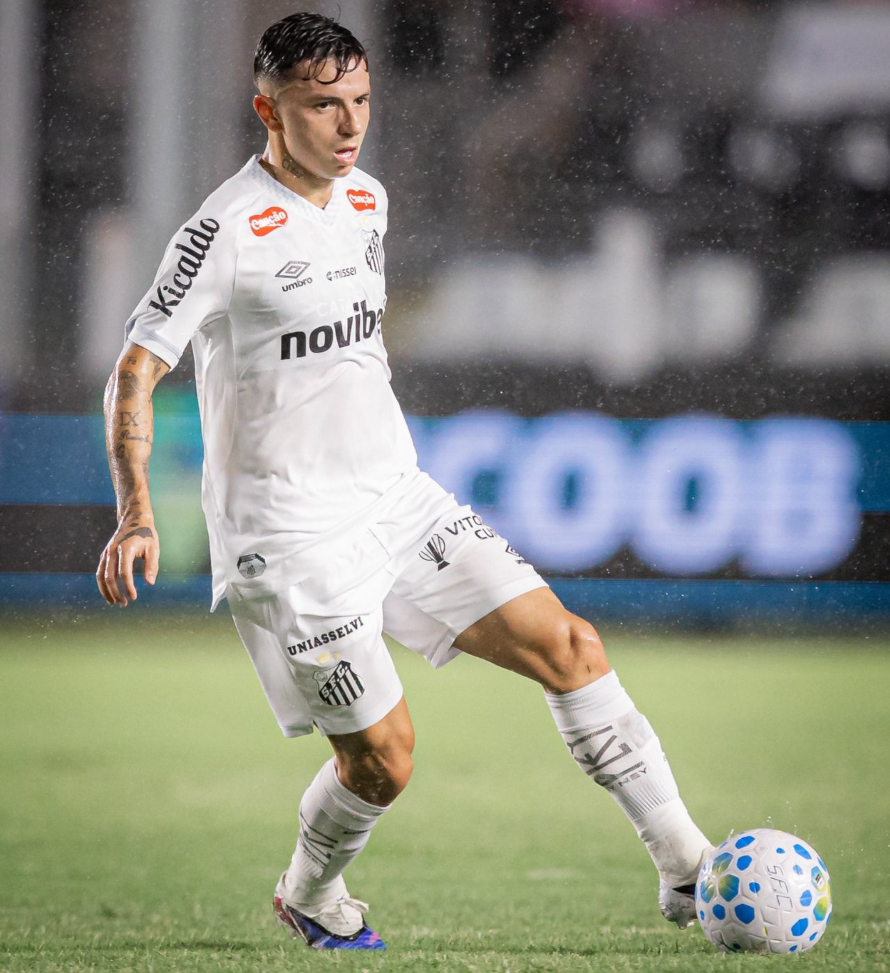 License is not valid, please check your API Key!