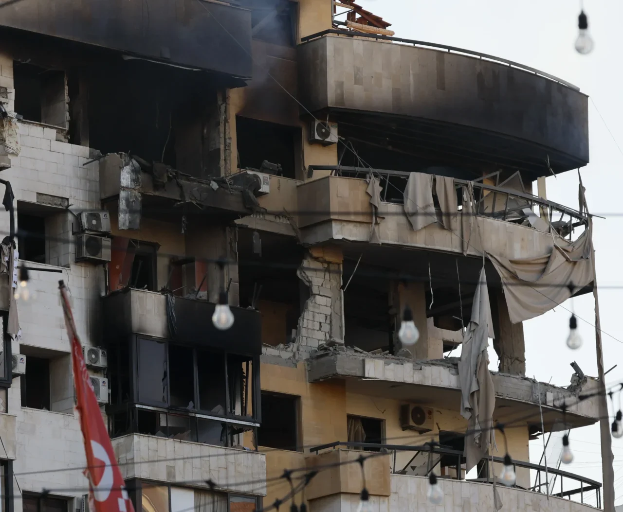 License is not valid, please check your API Key!