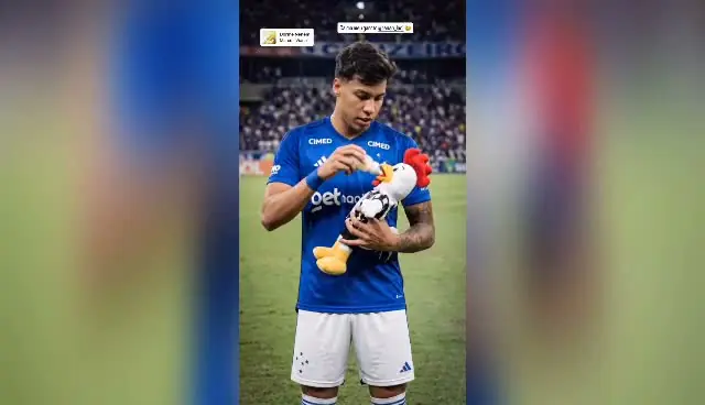 License is not valid, please check your API Key!