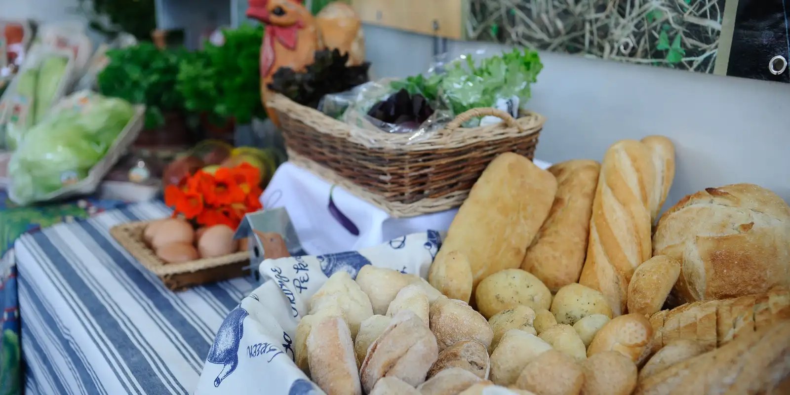 License is not valid, please check your API Key!