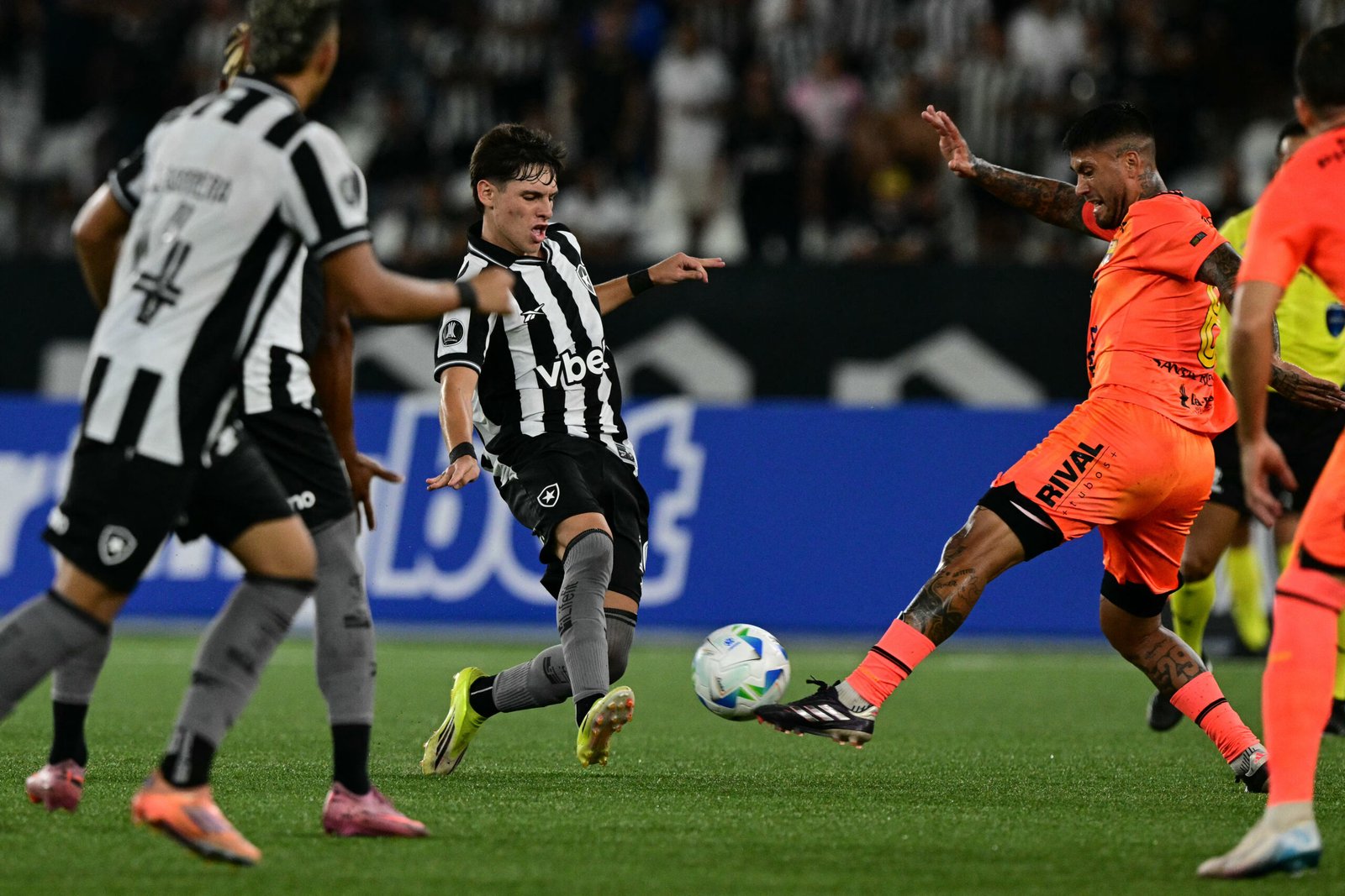 License is not valid, please check your API Key!