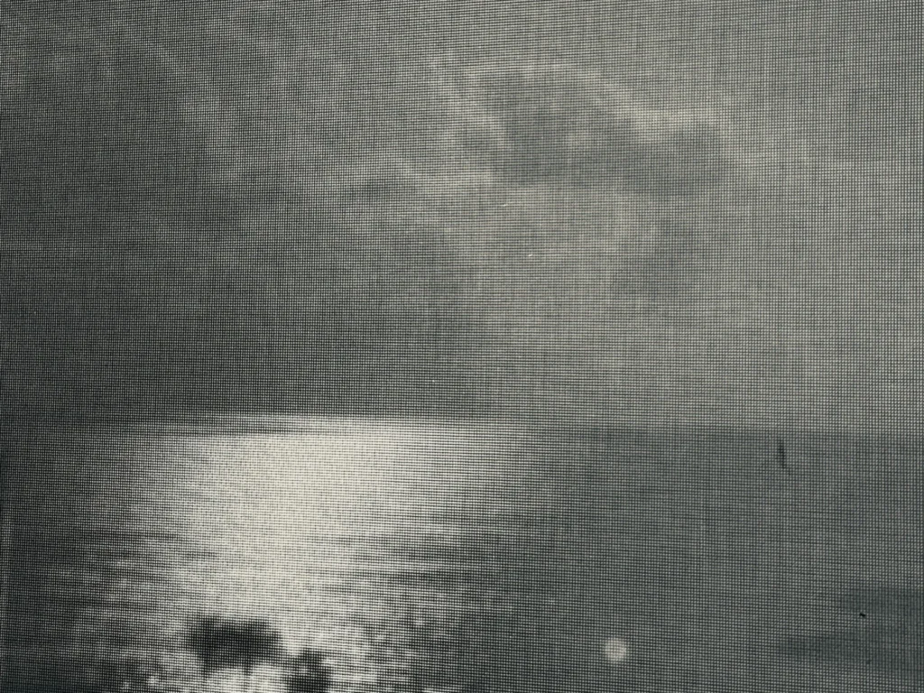 License is not valid, please check your API Key!