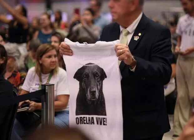 License is not valid, please check your API Key!