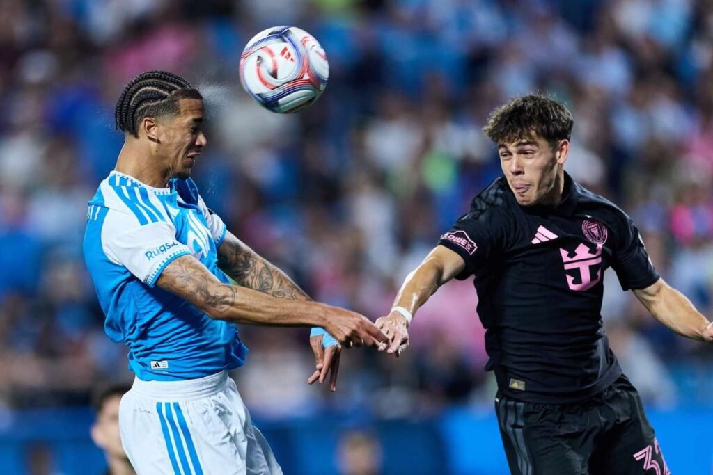 License is not valid, please check your API Key!