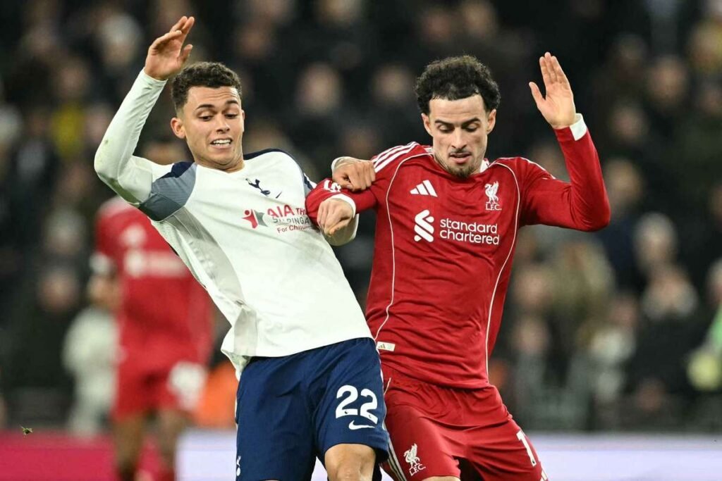 License is not valid, please check your API Key!