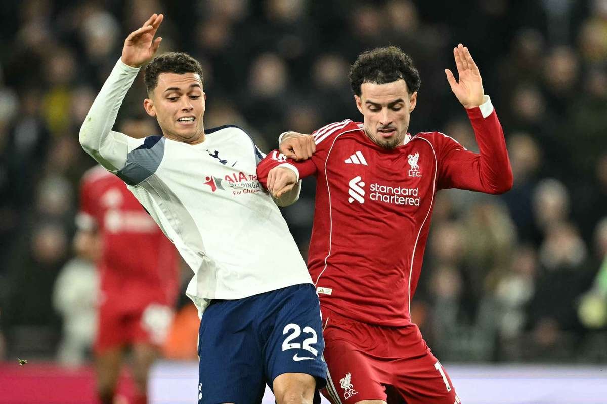 License is not valid, please check your API Key!