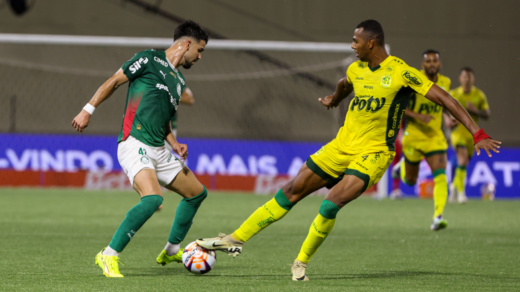 License is not valid, please check your API Key!