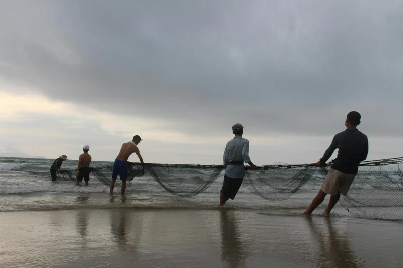 License is not valid, please check your API Key!