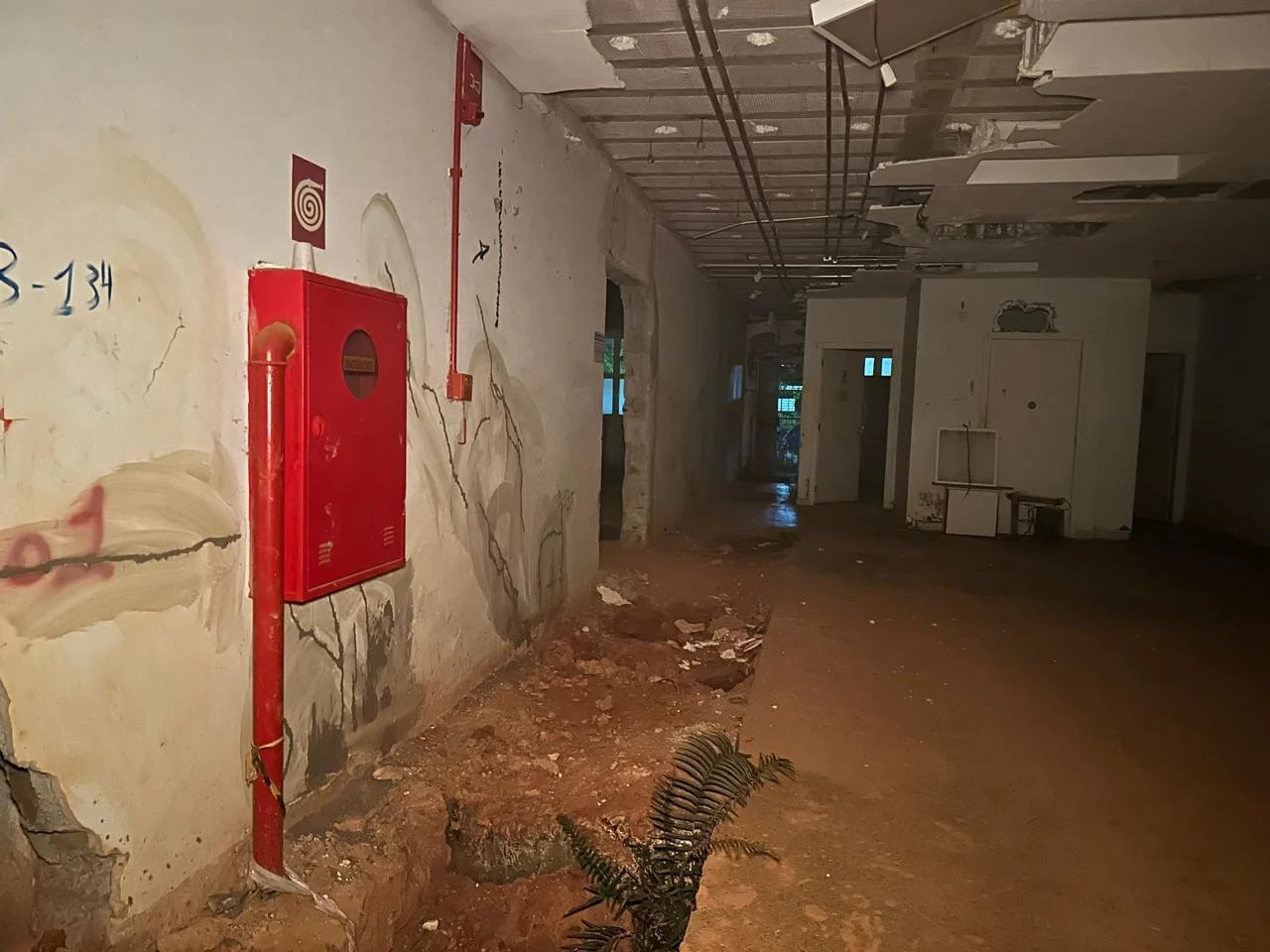 License is not valid, please check your API Key!