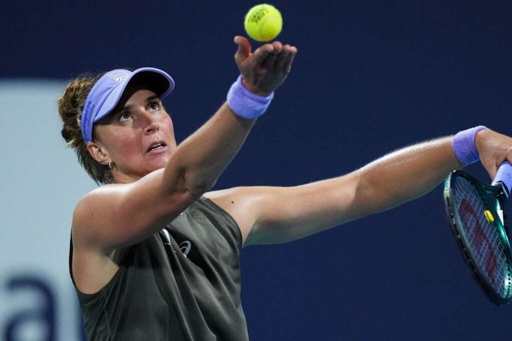 License is not valid, please check your API Key!