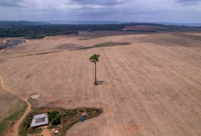 License is not valid, please check your API Key!