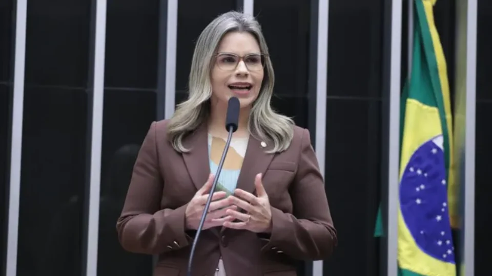 License is not valid, please check your API Key!