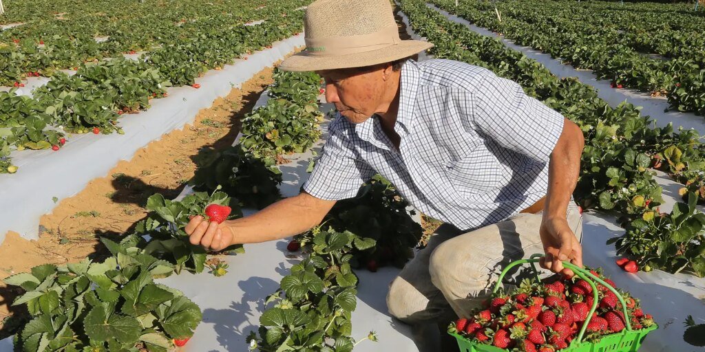 License is not valid, please check your API Key!