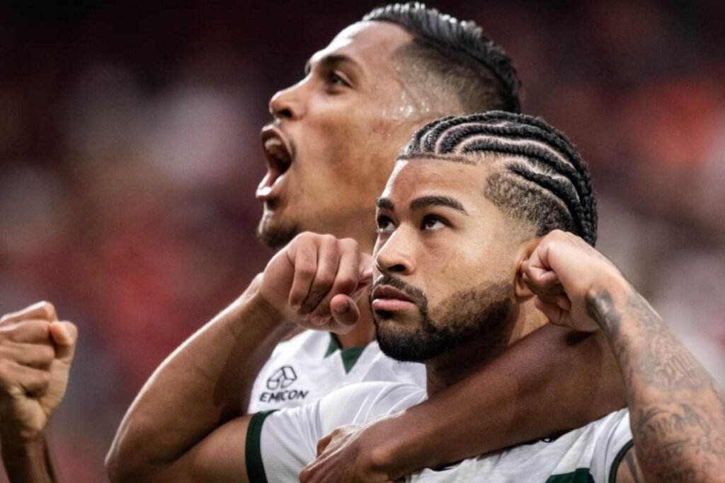 License is not valid, please check your API Key!