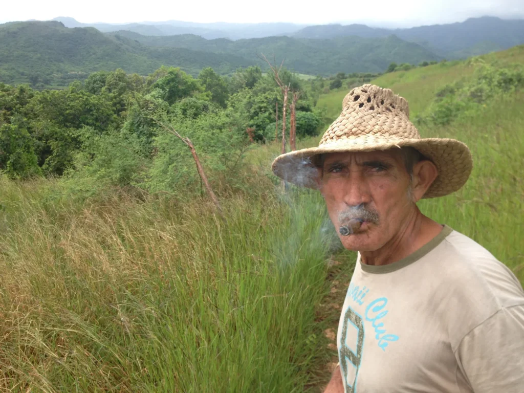 License is not valid, please check your API Key!