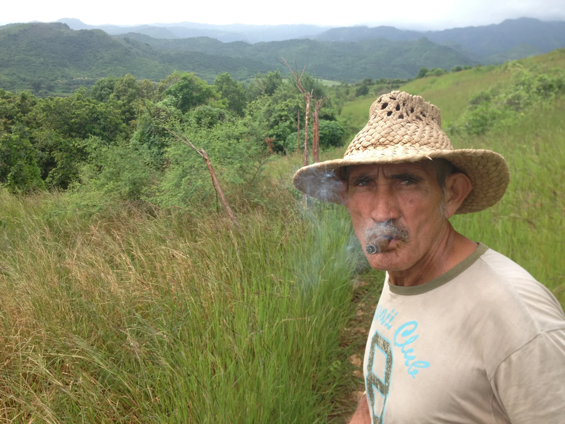 License is not valid, please check your API Key!