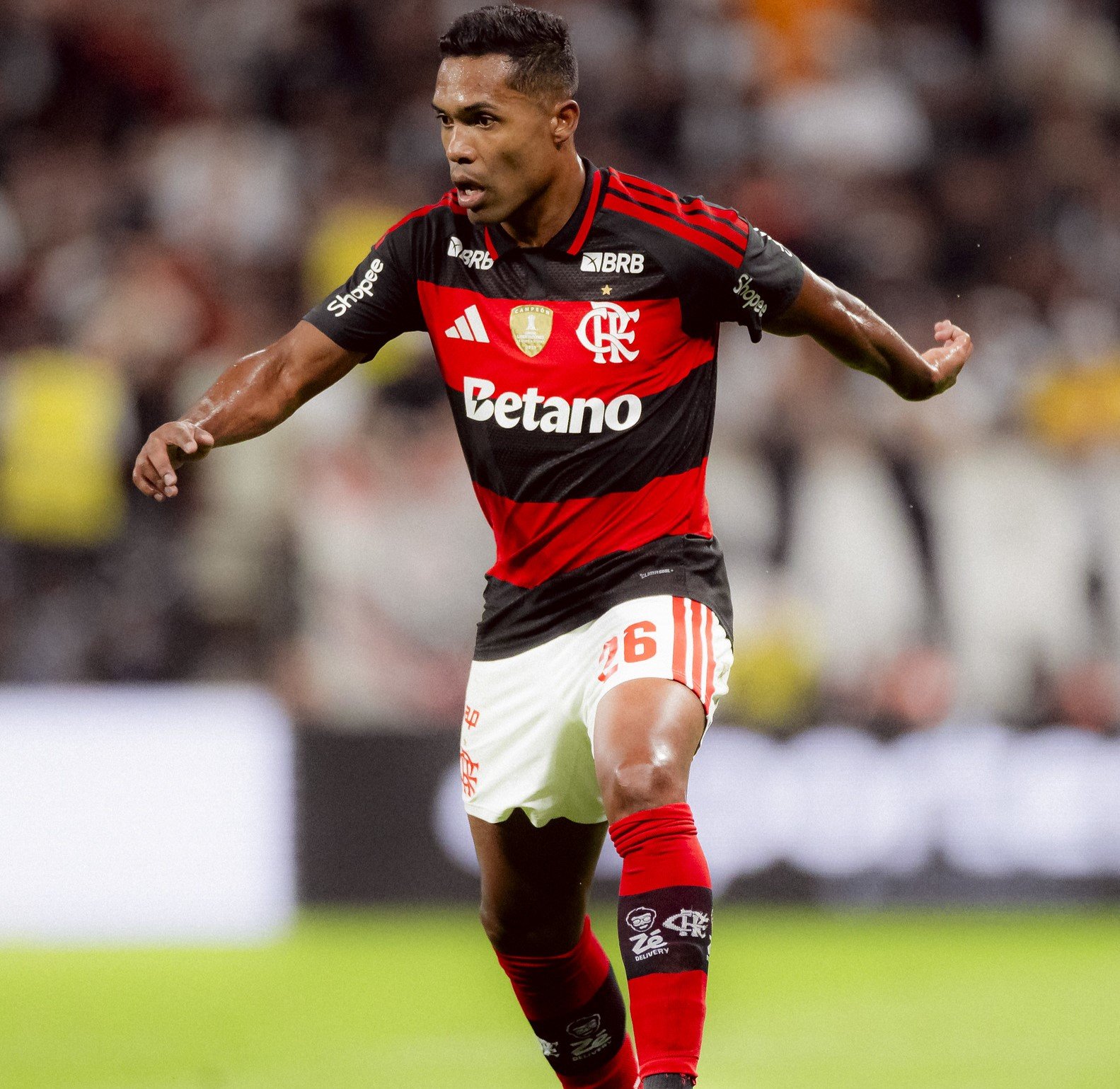 License is not valid, please check your API Key!