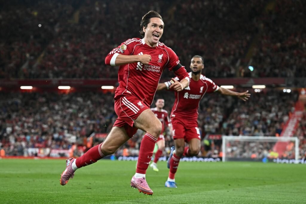 License is not valid, please check your API Key!